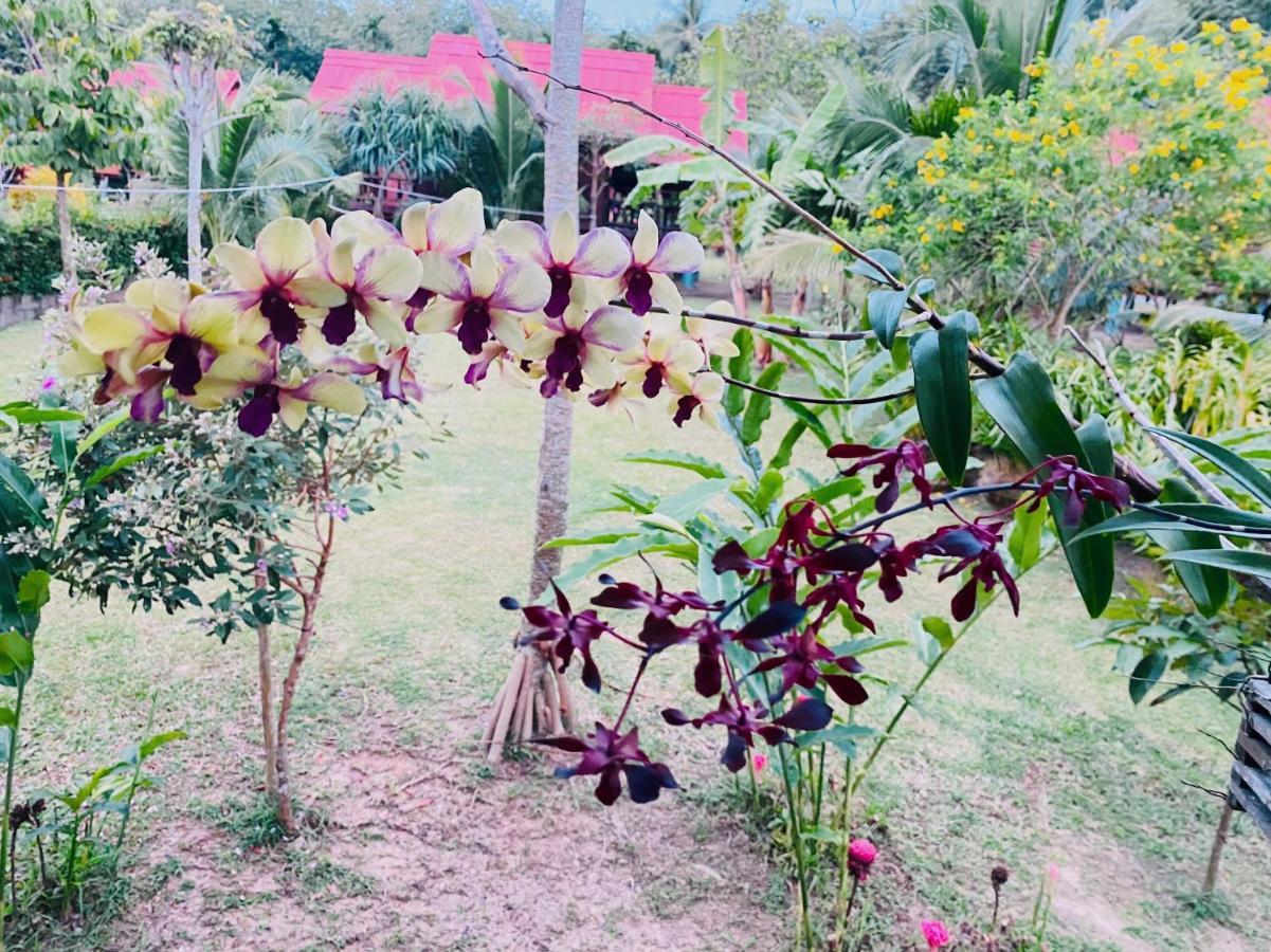 Nadia Resort Kohjum Koh Jum Esterno foto