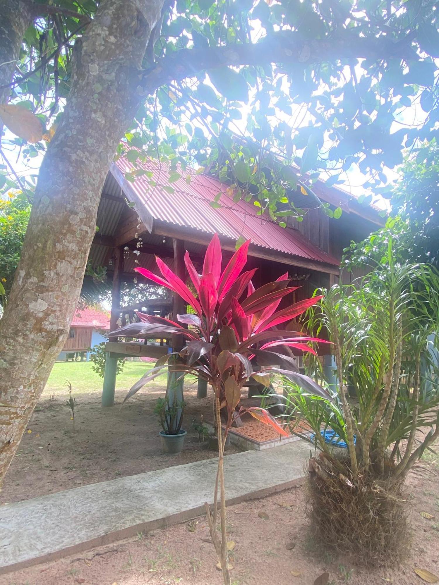 Nadia Resort Kohjum Koh Jum Esterno foto